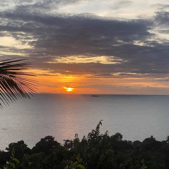 Test - Picture 1 of 1